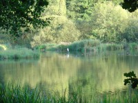 /album/fotogalerie-fotogalerie/litschau-2012-5-jpg/